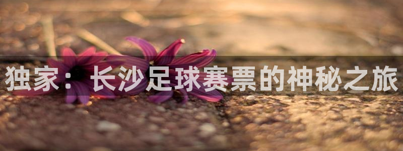 独家：长沙足球赛票的神秘之旅