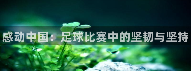  感动中国：足球比赛中的坚韧与坚持