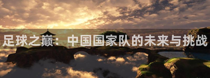 足球之巅：中国国家队的未来与挑战