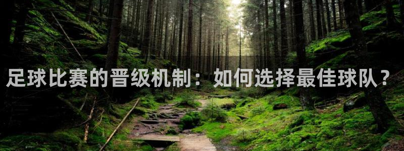 足球比赛的晋级机制：如何选择最佳球队？