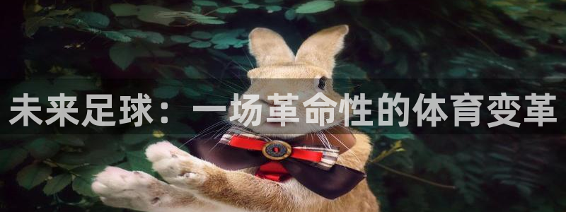 未来足球：一场革命性的体育变革