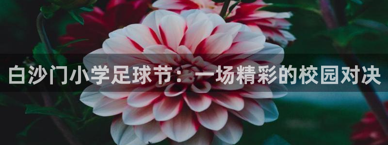  白沙门小学足球节：一场精彩的校园对决