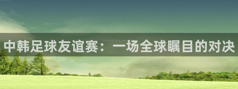  中韩足球友谊赛：一场全球瞩目的对决