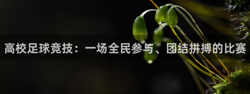  高校足球竞技：一场全民参与、团结拼搏的比赛