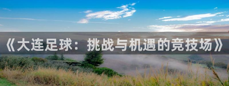 《大连足球：挑战与机遇的竞技场》