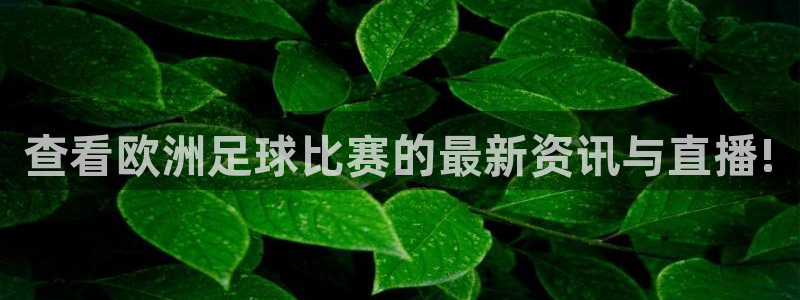  查看欧洲足球比赛的最新资讯与直播!