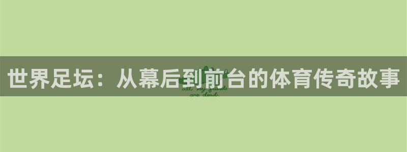  世界足坛：从幕后到前台的体育传奇故事