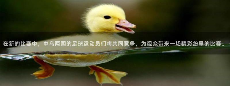 在新的比赛中，中乌两国的足球运动员们将共同竞争，为观众带来一