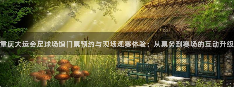  重庆大运会足球场馆门票预约与现场观赛体验：从票务到赛场的互动