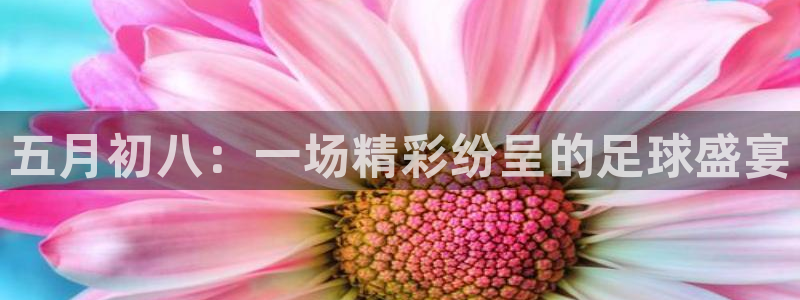 五月初八：一场精彩纷呈的足球盛宴