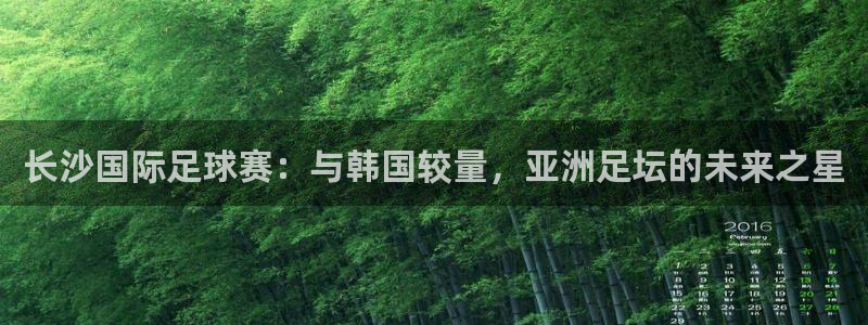 长沙国际足球赛：与韩国较量，亚洲足坛的未来之星