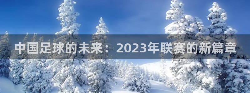 中国足球的未来：2023年联赛的新篇章
