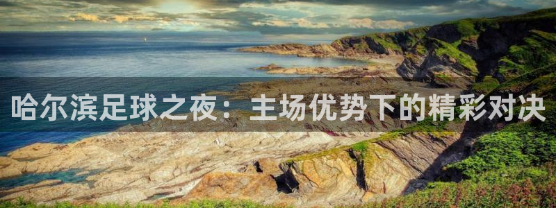 哈尔滨足球之夜：主场优势下的精彩对决