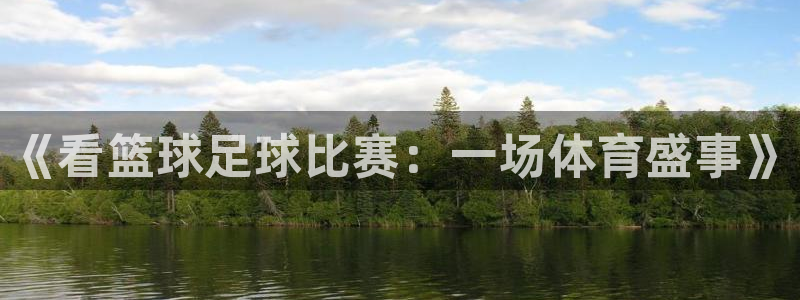  《看篮球足球比赛：一场体育盛事》