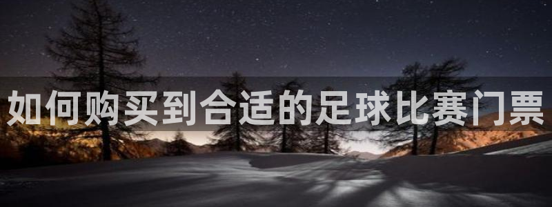  如何购买到合适的足球比赛门票