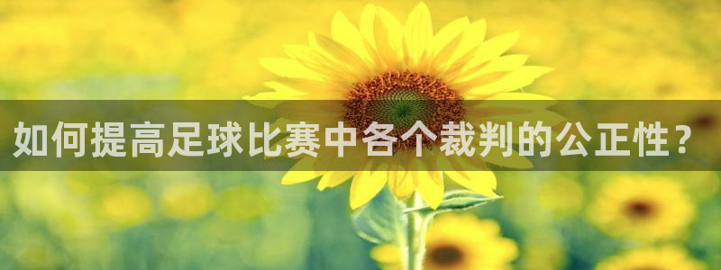如何提高足球比赛中各个裁判的公正性？