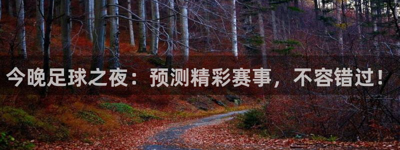  今晚足球之夜：预测精彩赛事，不容错过！