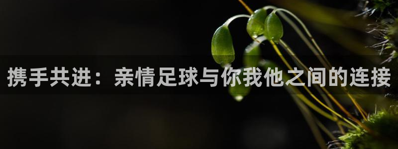 携手共进：亲情足球与你我他之间的连接