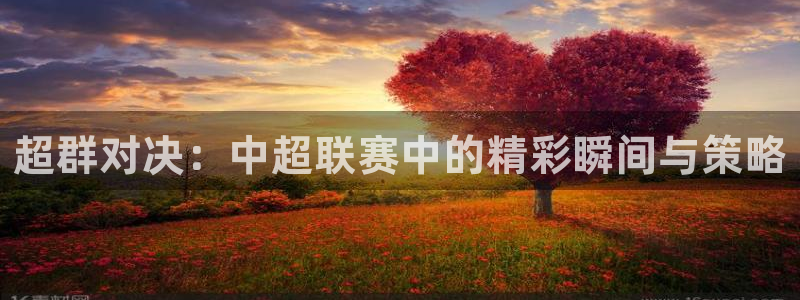  超群对决：中超联赛中的精彩瞬间与策略