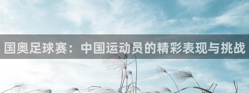  国奥足球赛：中国运动员的精彩表现与挑战