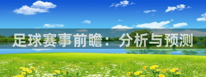 足球赛事前瞻：分析与预测