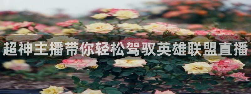 搜球体育官网：超神主播带你轻松驾驭英雄联盟直播