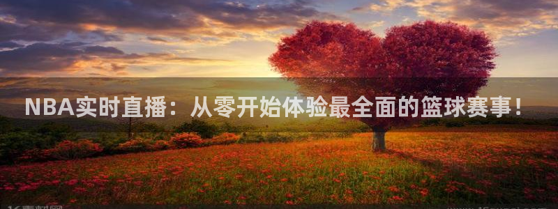 搜球吧在线直播nba：NBA实时直播：从零开始体验最全面的篮球赛事！