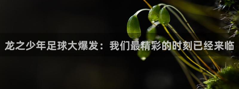 龙之少年足球大爆发：我们最精彩的时刻