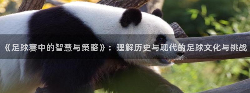 《足球赛中的智慧与策略》：理解历史与