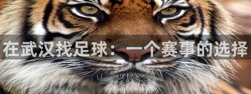 在武汉找足球：一个赛事的选择