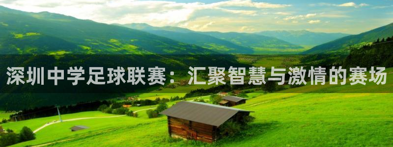 深圳中学足球联赛：汇聚智慧与激情的赛