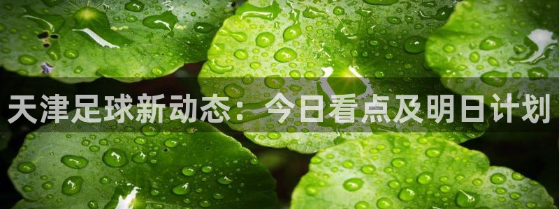 天津足球新动态：今日看点及明日计划