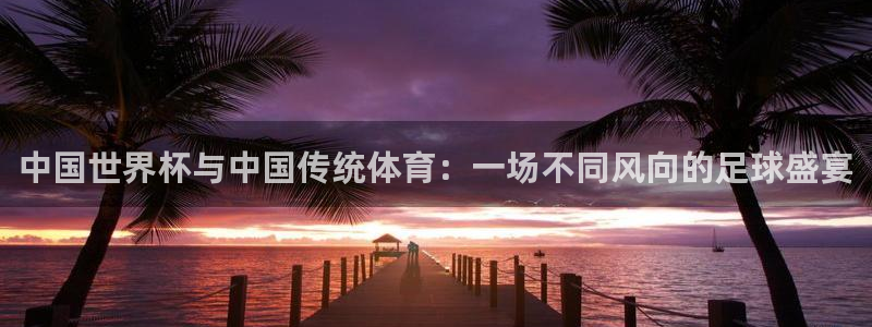 中国世界杯与中国传统体育：一场不同风