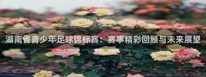 湖南省青少年足球锦标赛：赛事精彩回顾