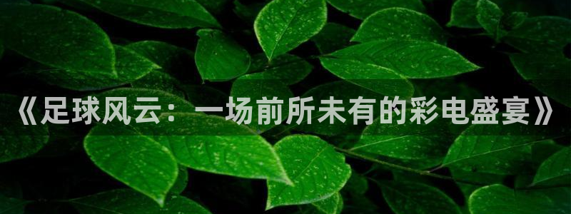 《足球风云：一场前所未有的彩电盛宴》