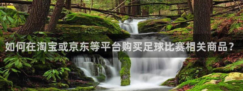 如何在淘宝或京东等平台购买足球比赛相