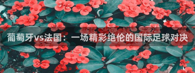 搜球8直播：葡萄牙vs法国：一场精彩绝伦的国际足球对决