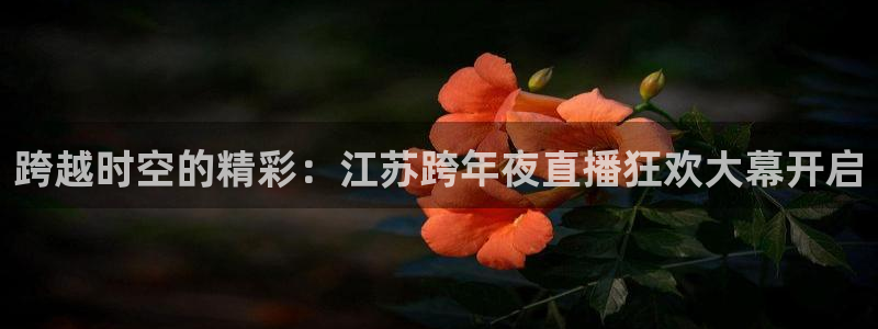 搜球直播体育：跨越时空的精彩：江苏跨年夜直播狂欢大幕开启