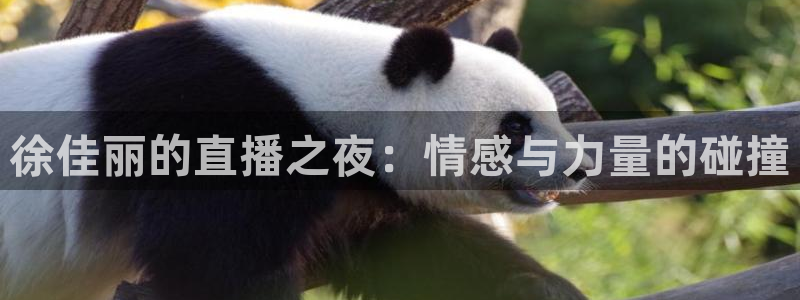 搜球体育：徐佳丽的直播之夜：情感与力量的碰撞