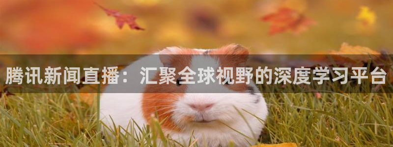 搜球吧8直播：腾讯新闻直播：汇聚全球视野的深度学习平台