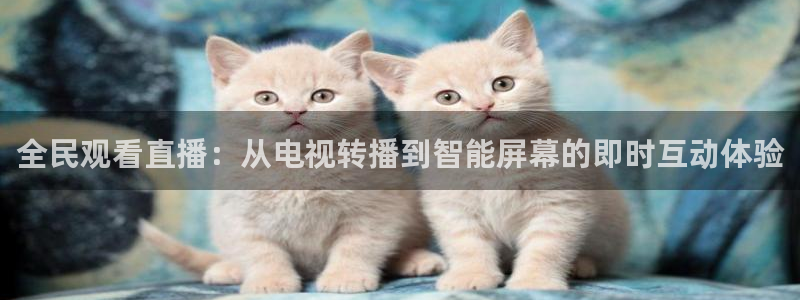 搜球吧零点吧nba直播：全民观看直播：从电视转播到智能屏幕的即时互动体验