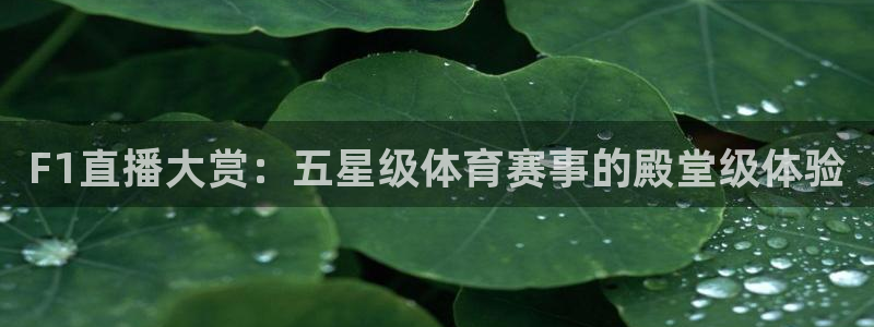 搜球体育：F1直播大赏：五星级体育赛事的殿堂级体验